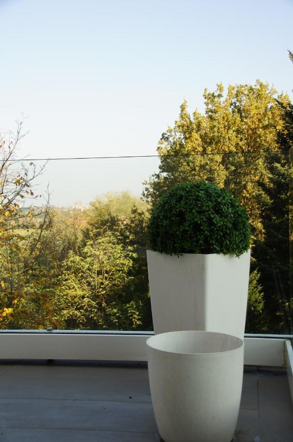 Casa Carla La Suite, Con Vista Del Verde Dei Colli Bolognesi Сассо-Маркони Экстерьер фото